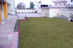 Plants: image 2 0f 4 thumb